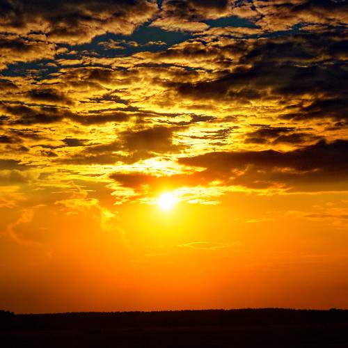 Photo #8451370
