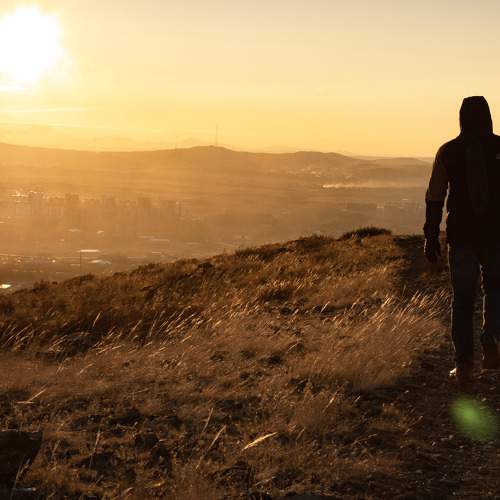 Photo #8451426