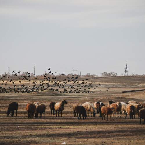 Photo #8451445