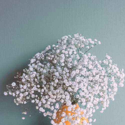 Photo #8451719