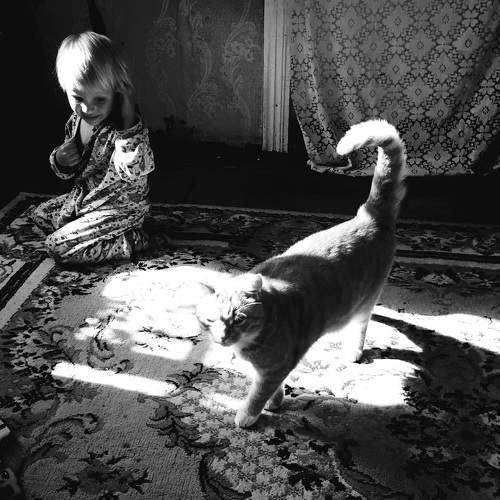 Photo #8451907