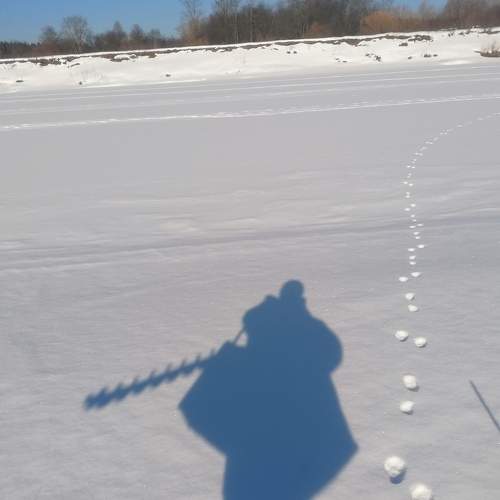 Photo #8451983