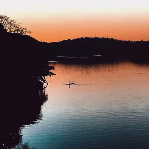 Photo #8451989