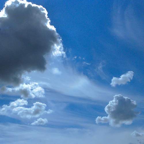 Photo #8452077