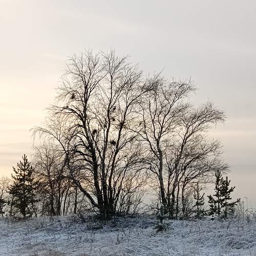 Photo #8452137