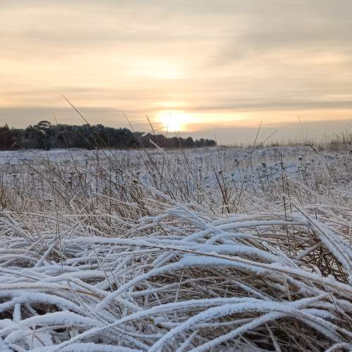 Photo #8452139