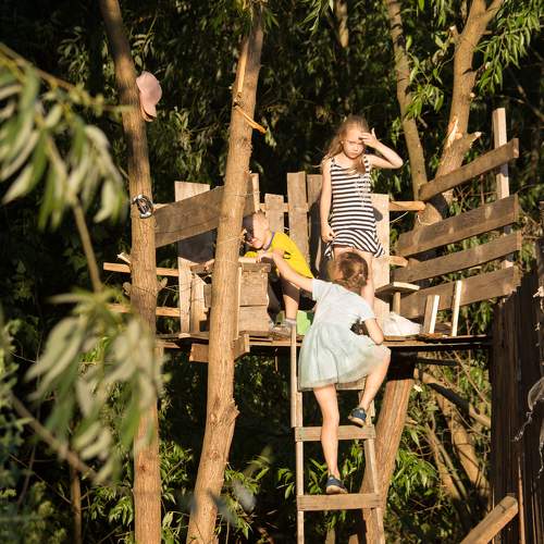 Photo #8452161