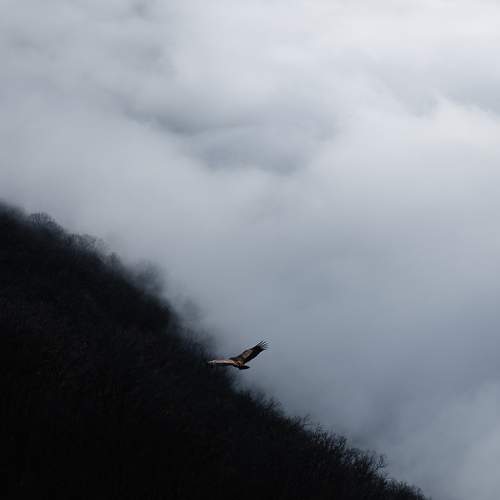 Photo #8452404