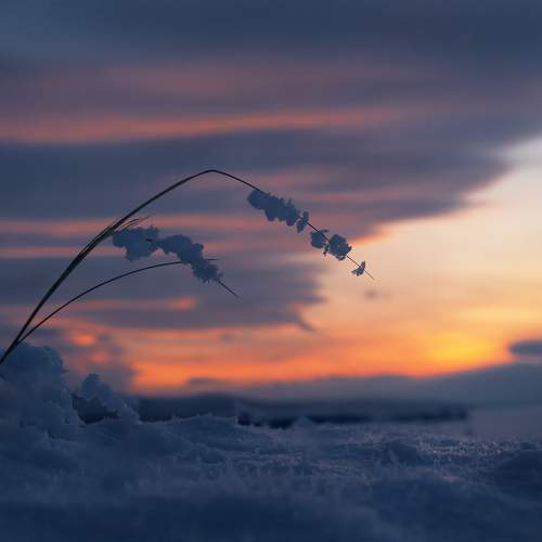 Photo #8452518