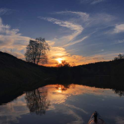Photo #8452520