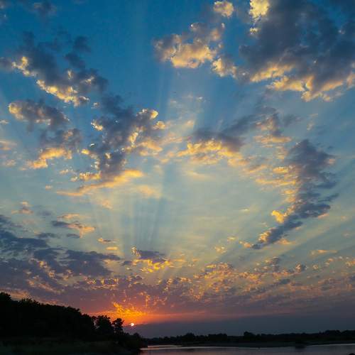 Photo #8452606