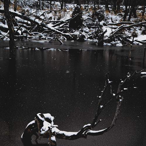 Photo #8452621
