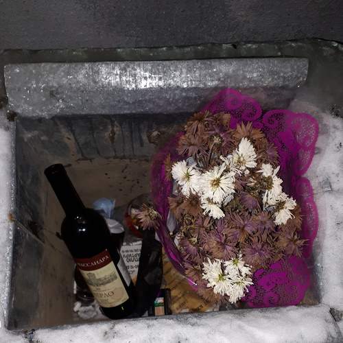 Photo #8452672