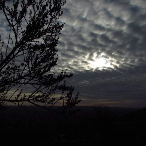 Photo #8452756