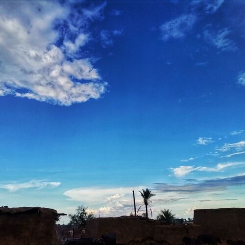 Photo #8453058