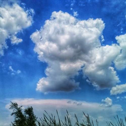 Photo #8453060