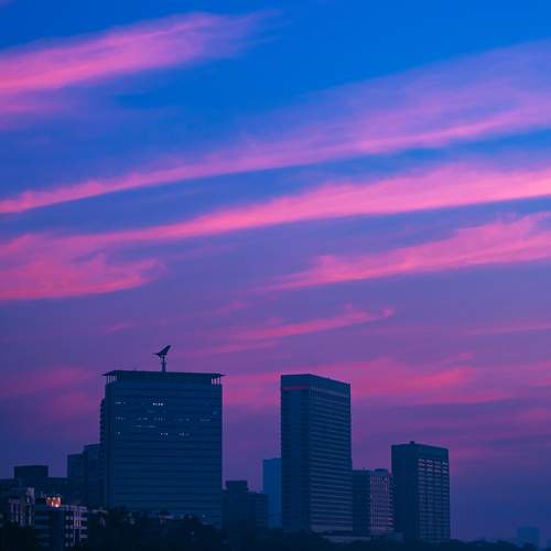Photo #8453352