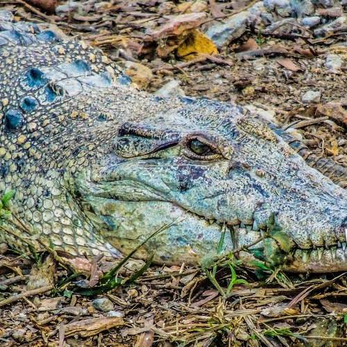 Photo #8453606