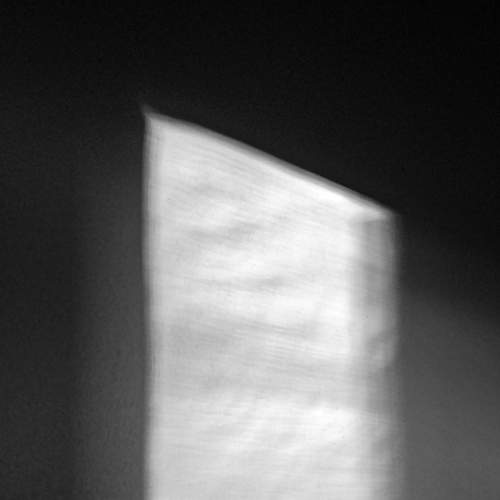 Photo #8453625