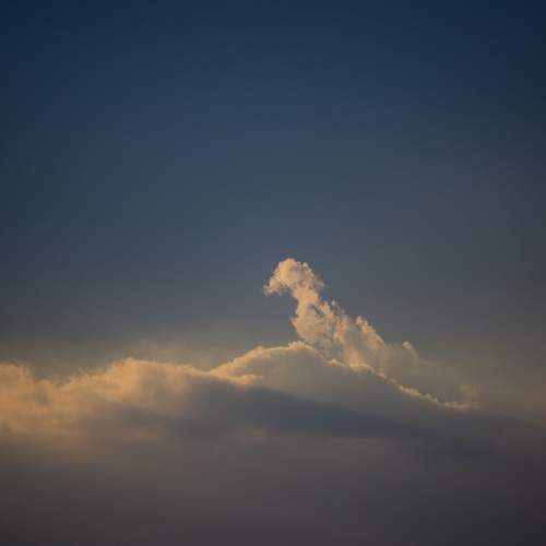 Photo #8453740
