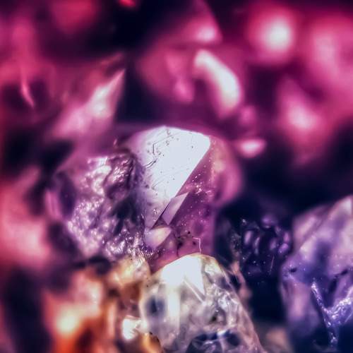 Photo #8453800