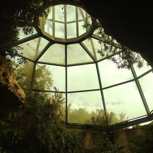 Photo #8453854