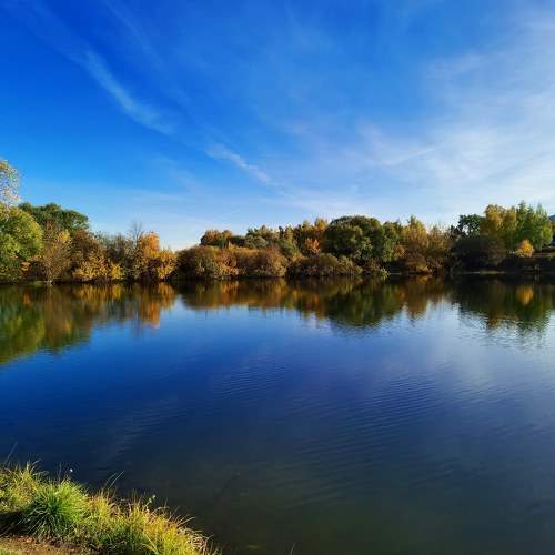 Photo #8453990