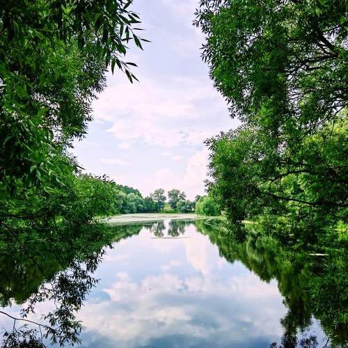Photo #8453992