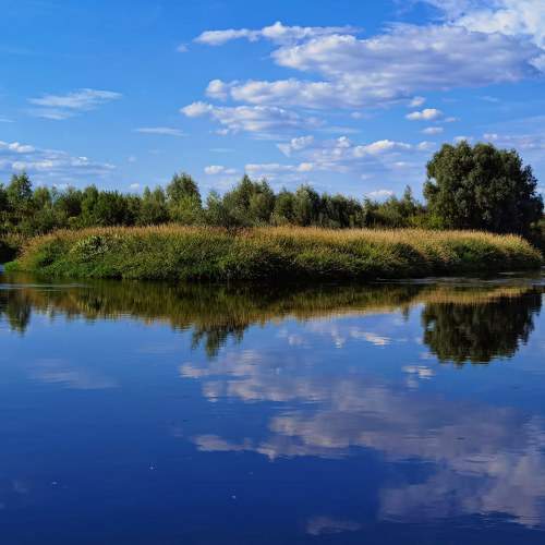 Photo #8453995