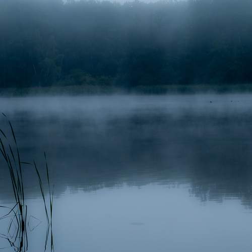 Photo #8454326