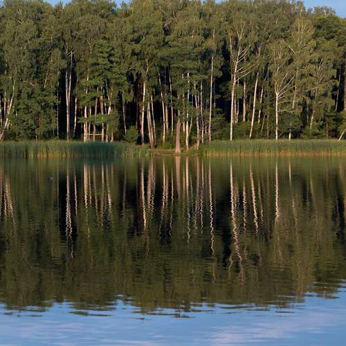 Photo #8454328