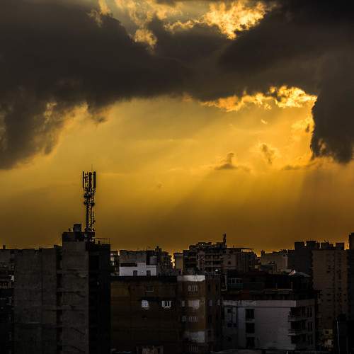 Photo #8454382