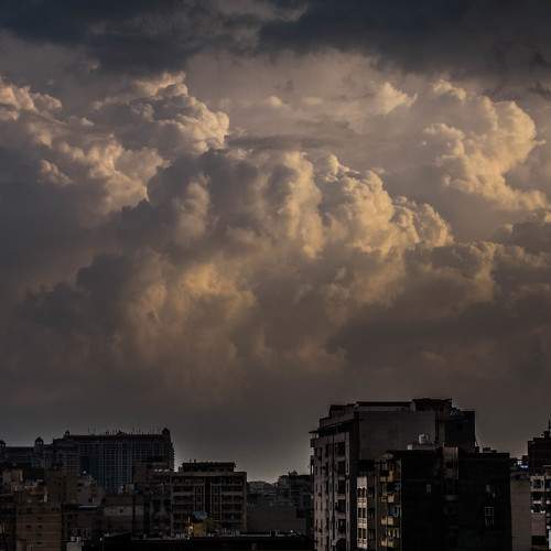 Photo #8454389