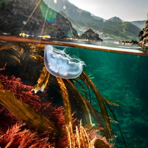 В ЛУЧАХ МОНЕРОНА