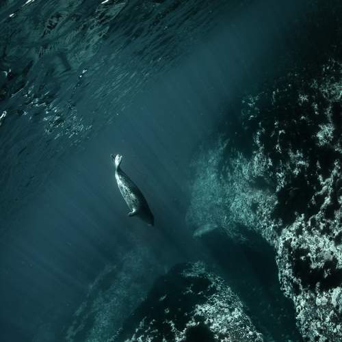 ПОДВОДНЫЕ ЛАБИРИНТЫ