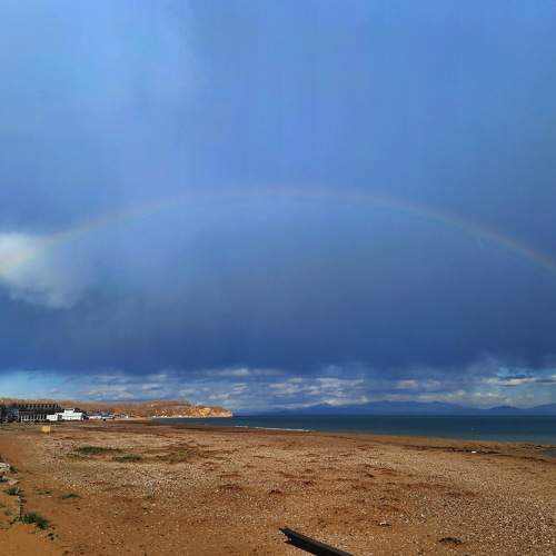 Photo #8454674