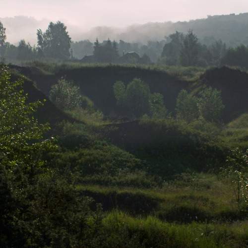 Photo #8455129
