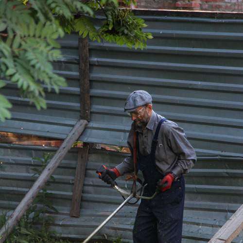 Photo #8455282