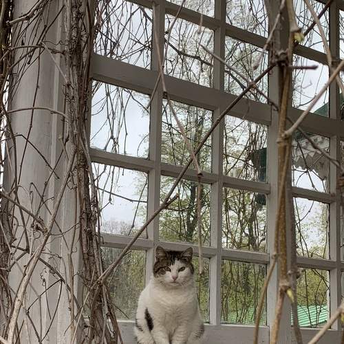 Photo #8455596