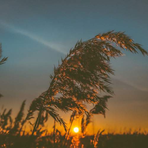 Photo #8455748