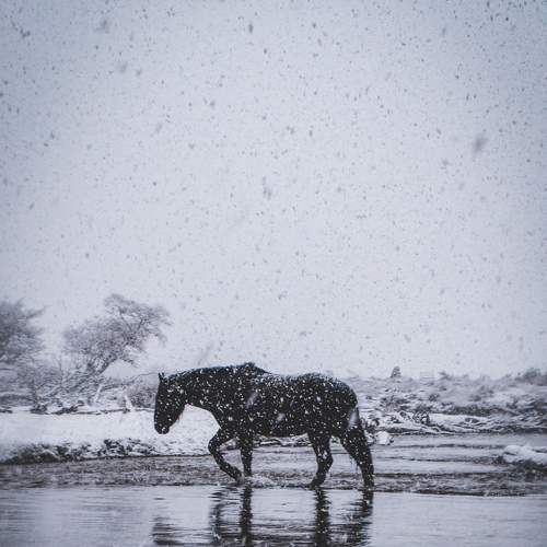 Photo #8455890