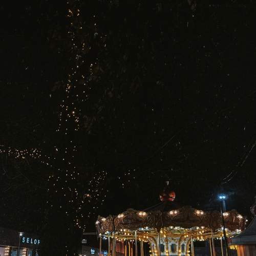 Photo #8455937