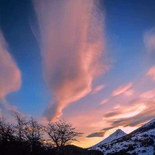 Photo #8455969