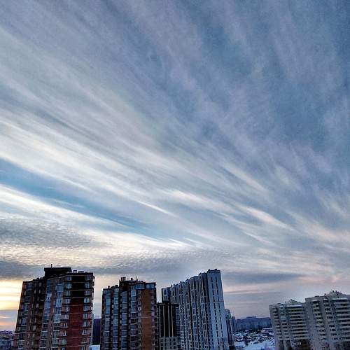 Photo #8456117