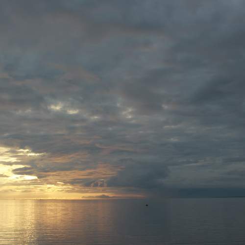Photo #8456158