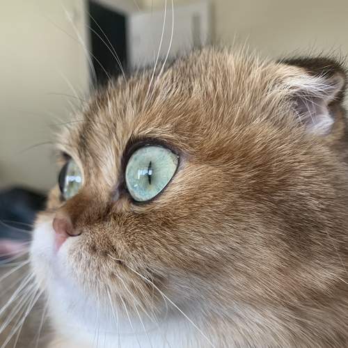 Photo #8456167