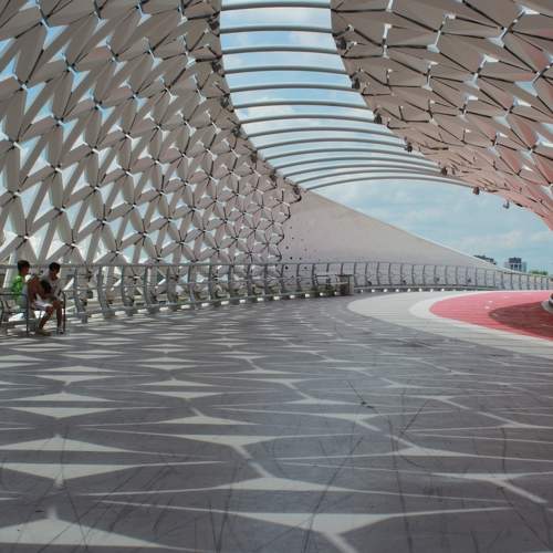 Photo #8456218
