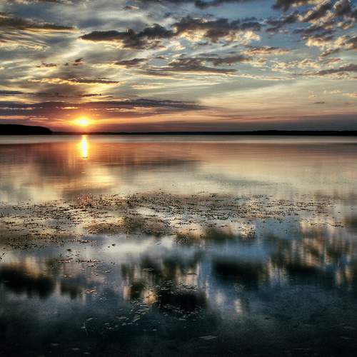 Photo #8456279