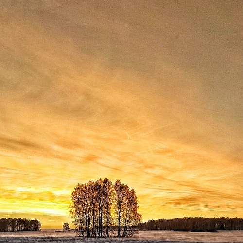 Photo #8456363