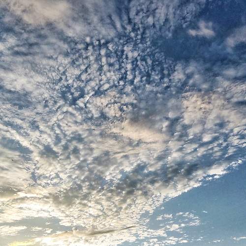 Photo #8456366